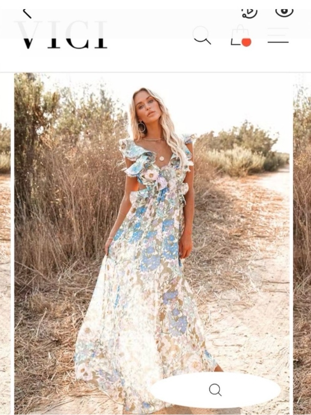 Vici Pastel Blue and Cream Floral Ruffle Maxi Dress